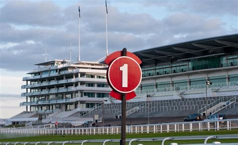copper horse stakes trends|Royal Ascot Copper Horse Stakes tips: High hopes for Alsakib in .